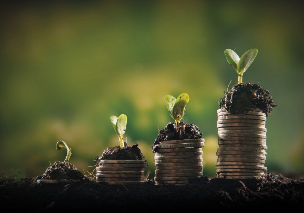 Foto: Shutterstock.com