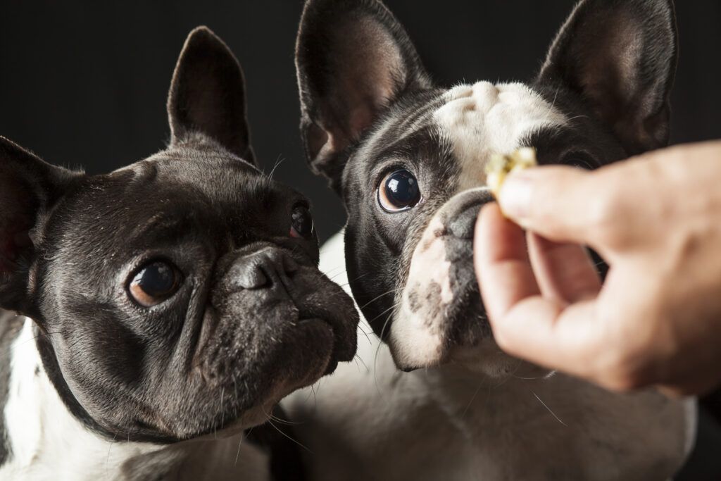Foto: Shutterstock.com