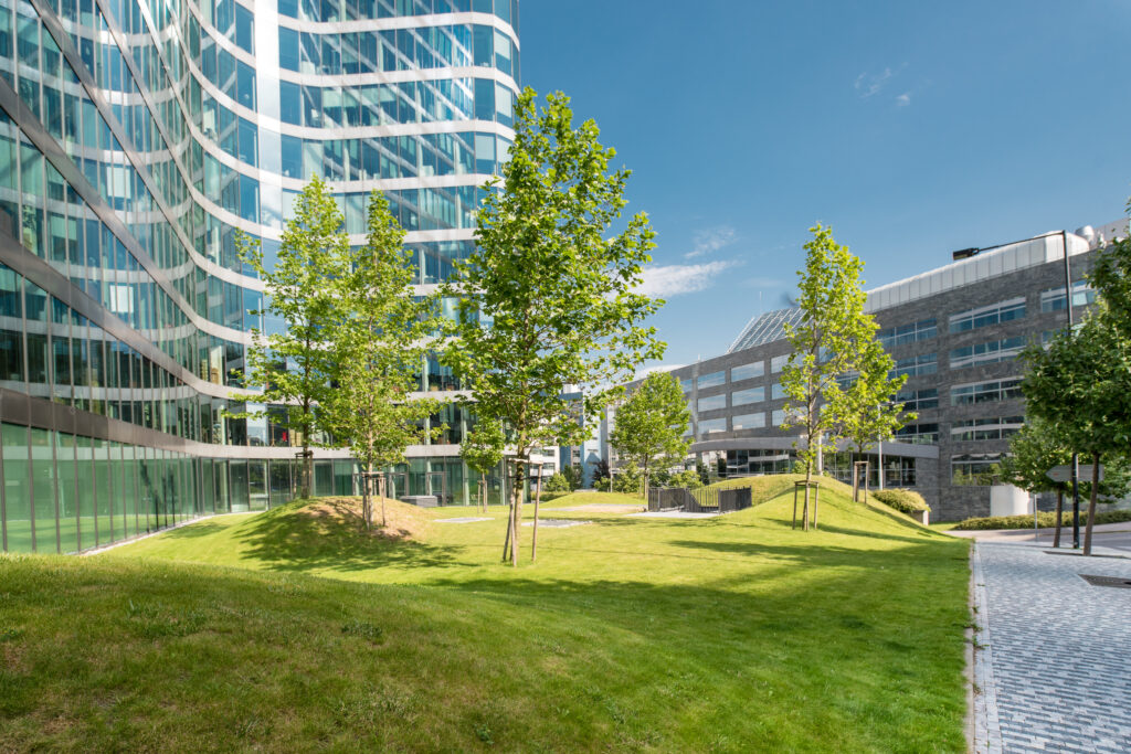 Foto: Shutterstock.com
