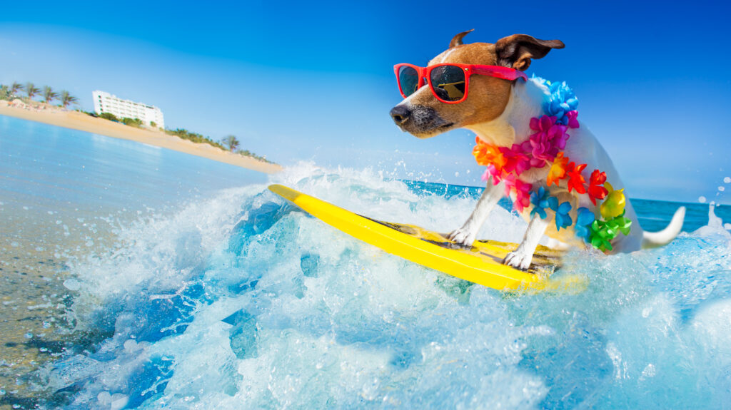 Foto: Shutterstock.com