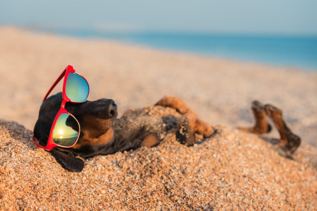 Foto: Shutterstock.com