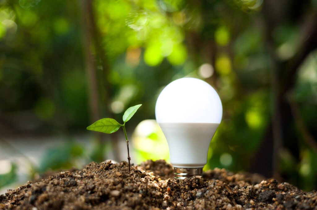 Foto: Shutterstock.com
