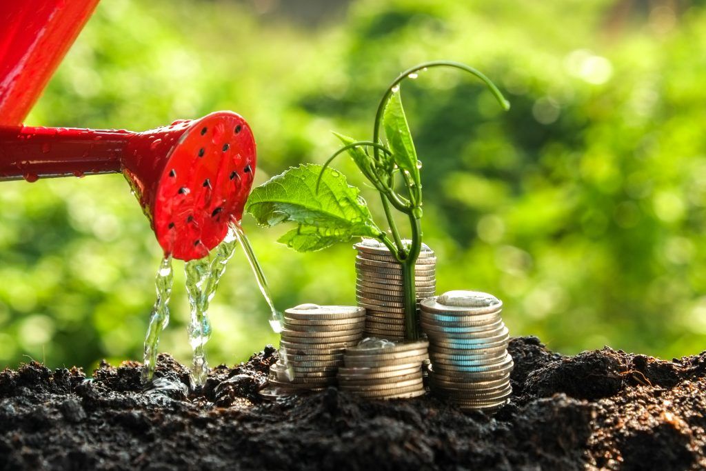 Foto: Shutterstock.com