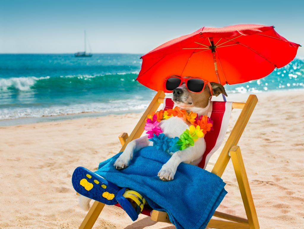 Foto: Shutterstock.com
