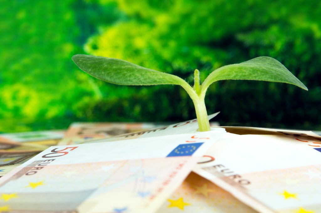 Foto: Shutterstock.com