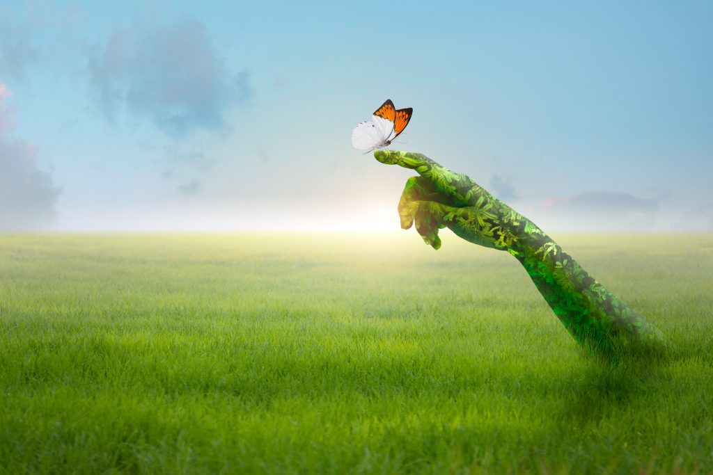 Foto: Shutterstock.com