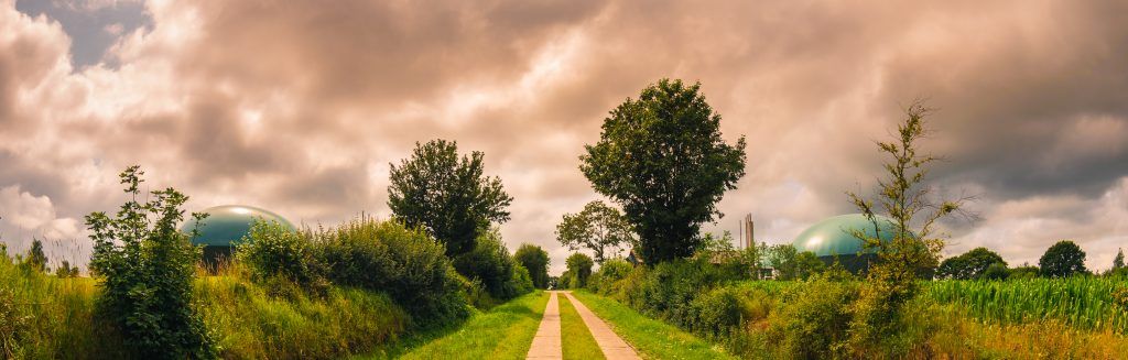 Foto: Shutterstock.com