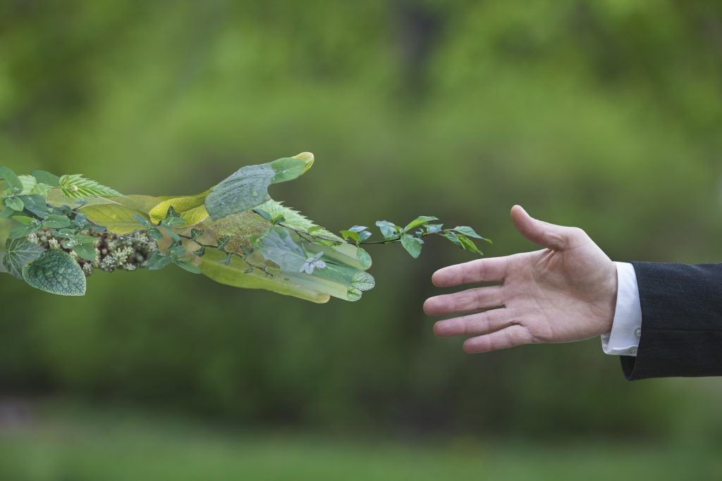 Foto: Shutterstock.com