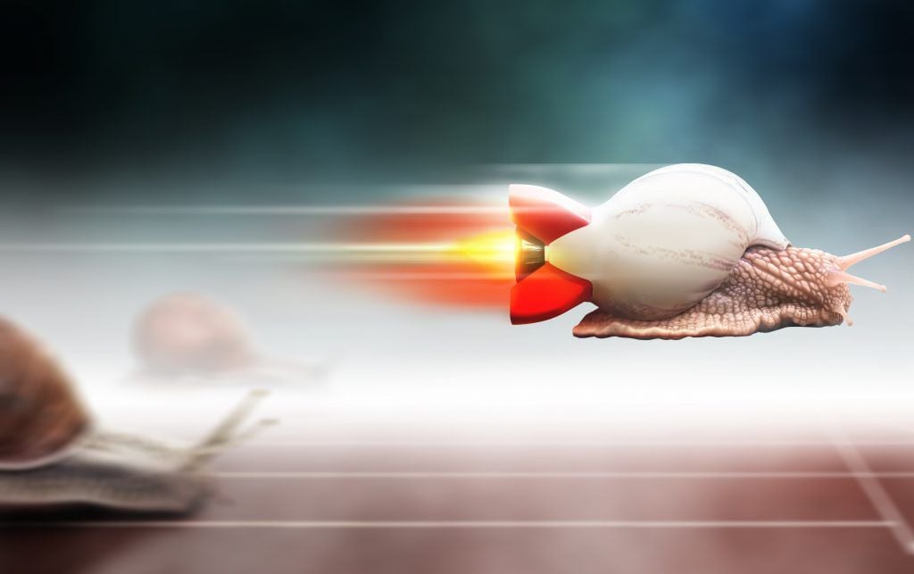 Foto: Shutterstock.com