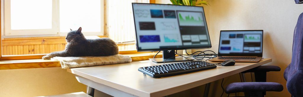 Foto: Shutterstock.com