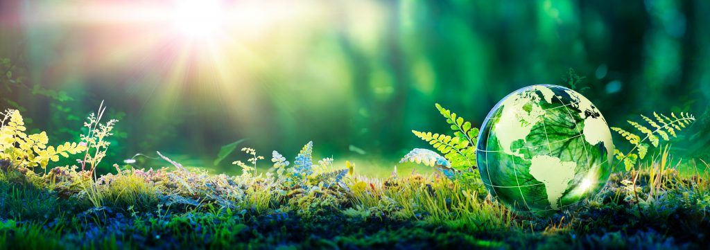 Foto: Shutterstock.com