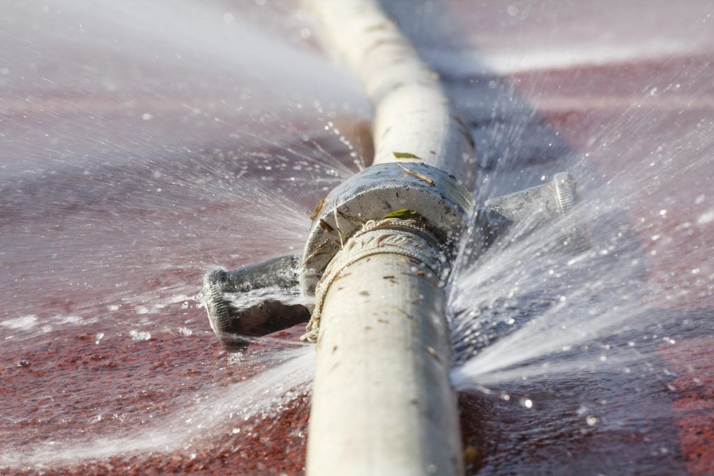 Foto: Shutterstock.com