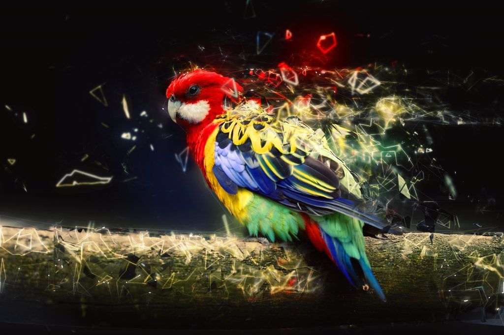 Foto: Shutterstock.com