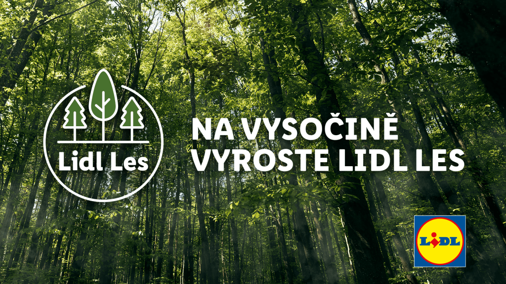 Grafika: Lidl
