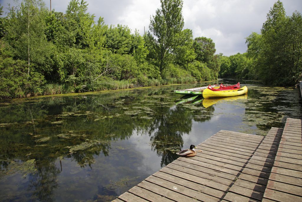 Foto: Bogdan Tkaczyk