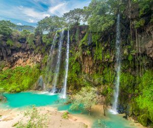 Foto: Shutterstock.com