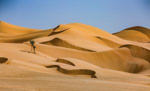 Foto: Shutterstock.com