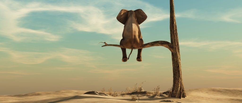 Foto: Shutterstock.com