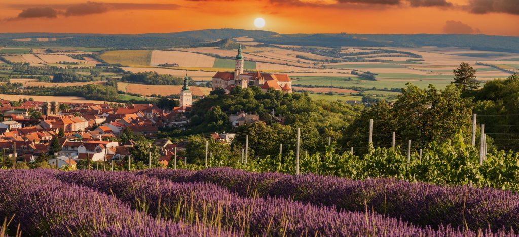 Foto: Shutterstock.com