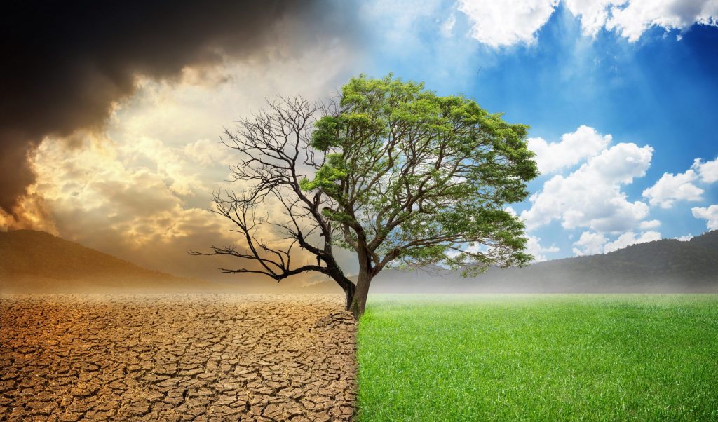 Foto: Shutterstock.com