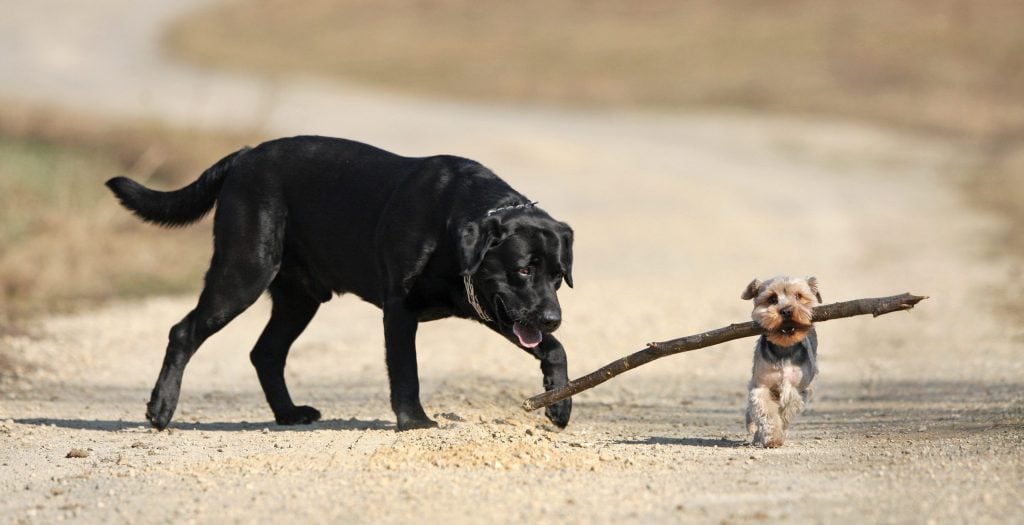 Foto: Shutterstock.com