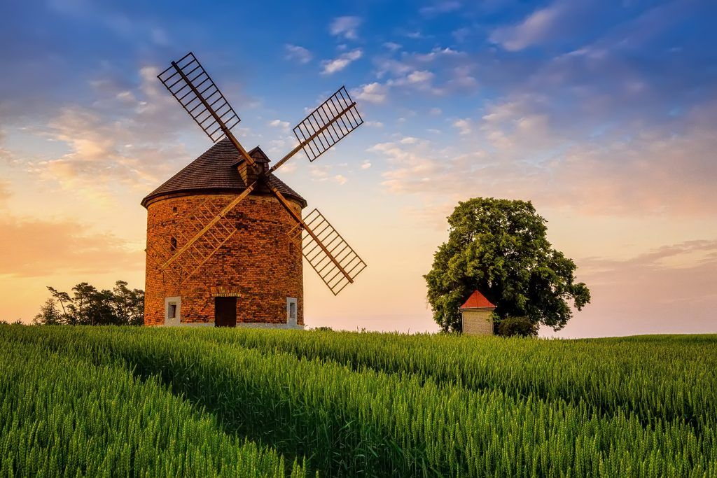 Foto: Shutterstock.com