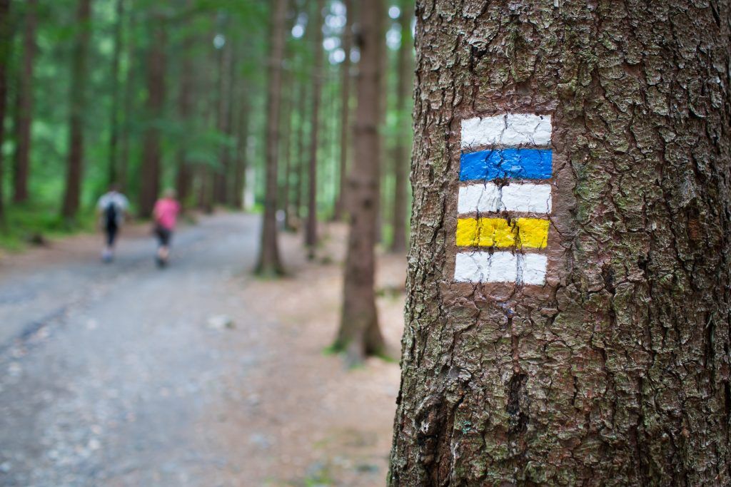 Foto: Shutterstock.com