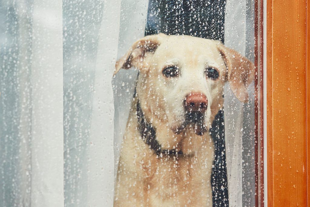 Foto: Shutterstock.com