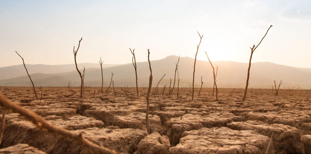 Foto: Shutterstock.com