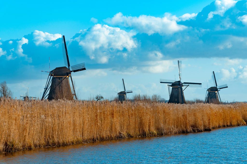 Foto: Shutterstock.com