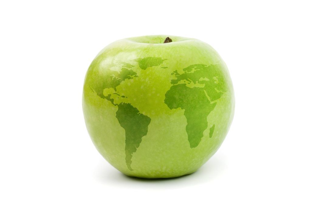 Foto: Shutterstock.com