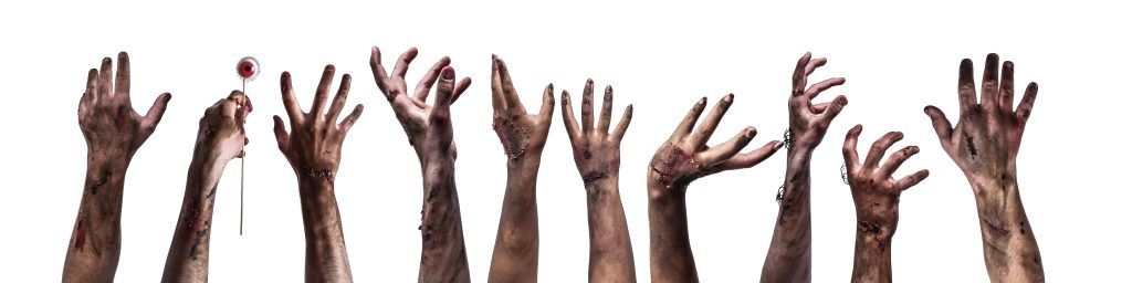 Foto: Shutterstock.com