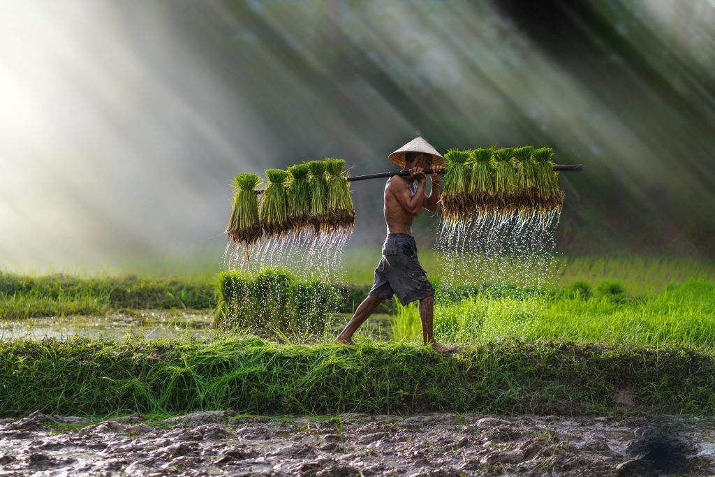 Foto: Shutterstock.com