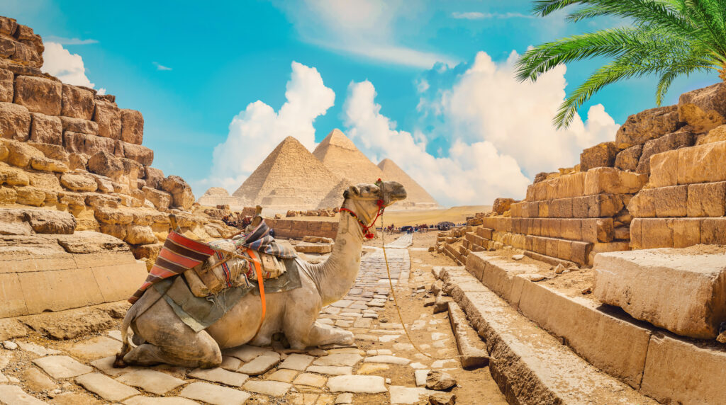Foto: Shutterstock.com