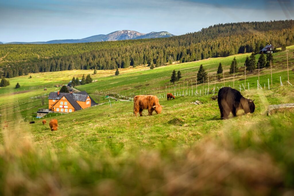 Foto: Shutterstock.com