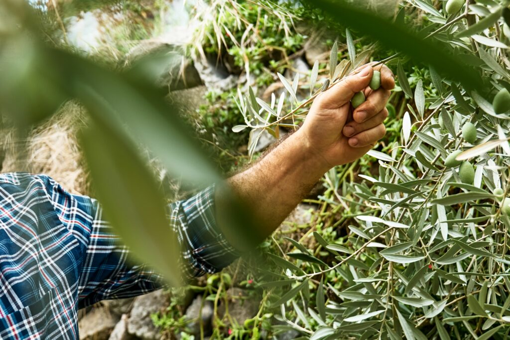 Foto: iStock