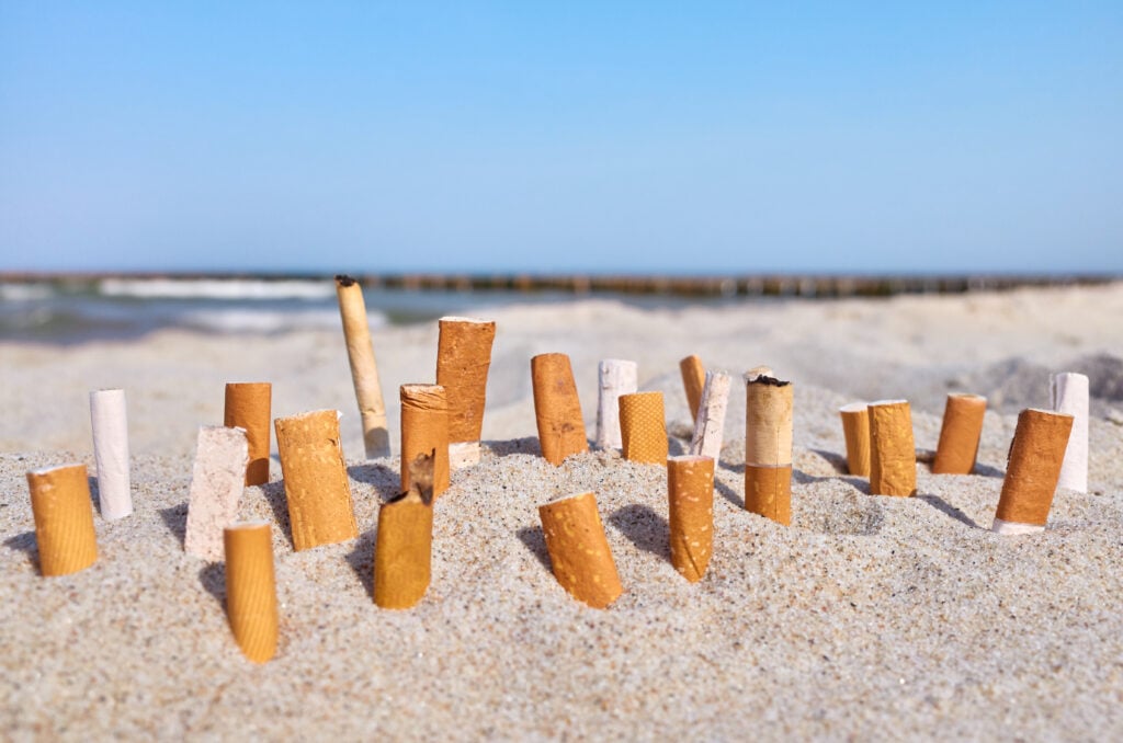 Foto: Shutterstock.com