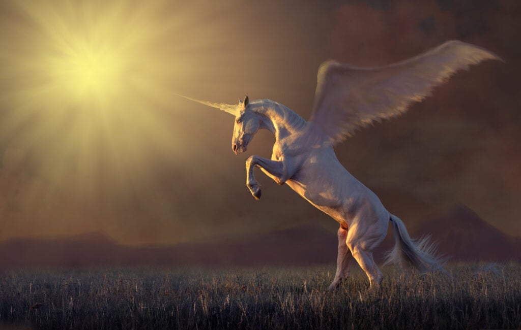 Foto: Shutterstock.com