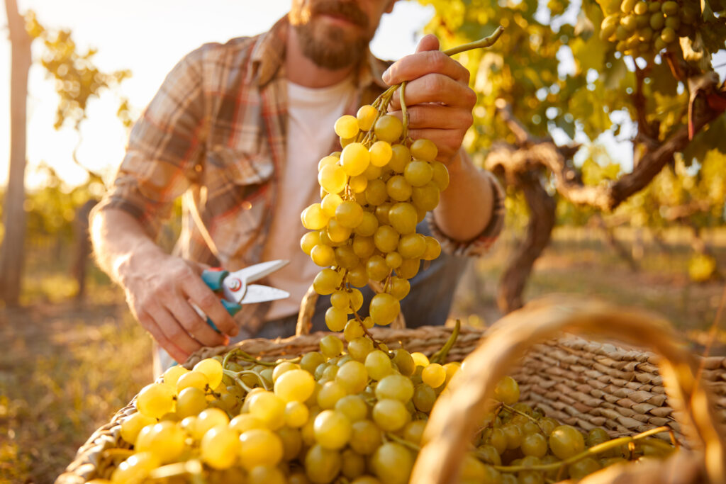 Foto: Shutterstock.com