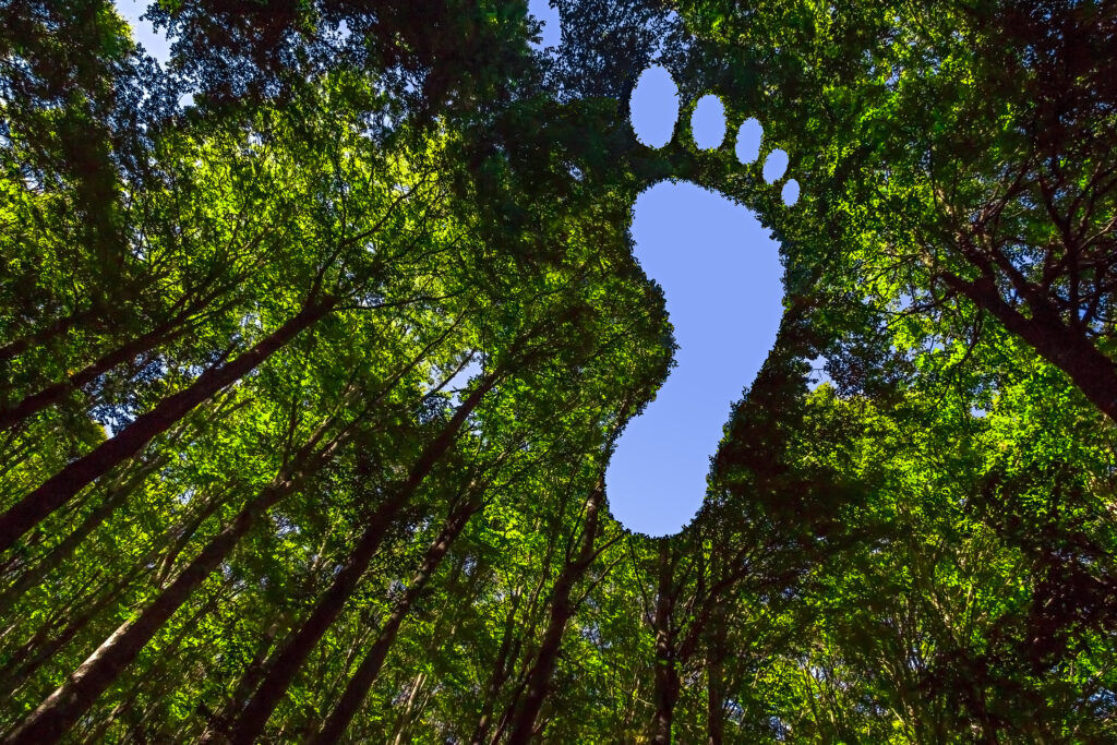 Foto: Shutterstock