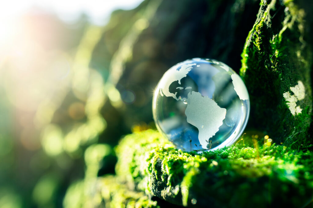 Foto: Shutterstock.com