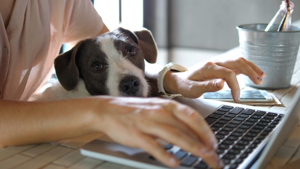 Foto: Shutterstock.com