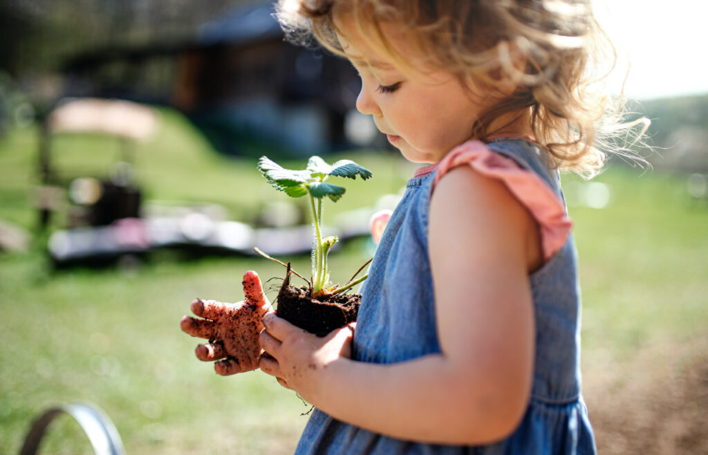 Foto: Shutterstock.com