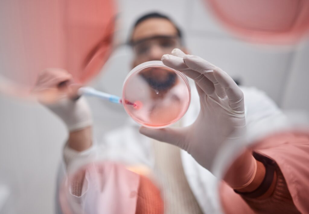 Foto: Shutterstock.com