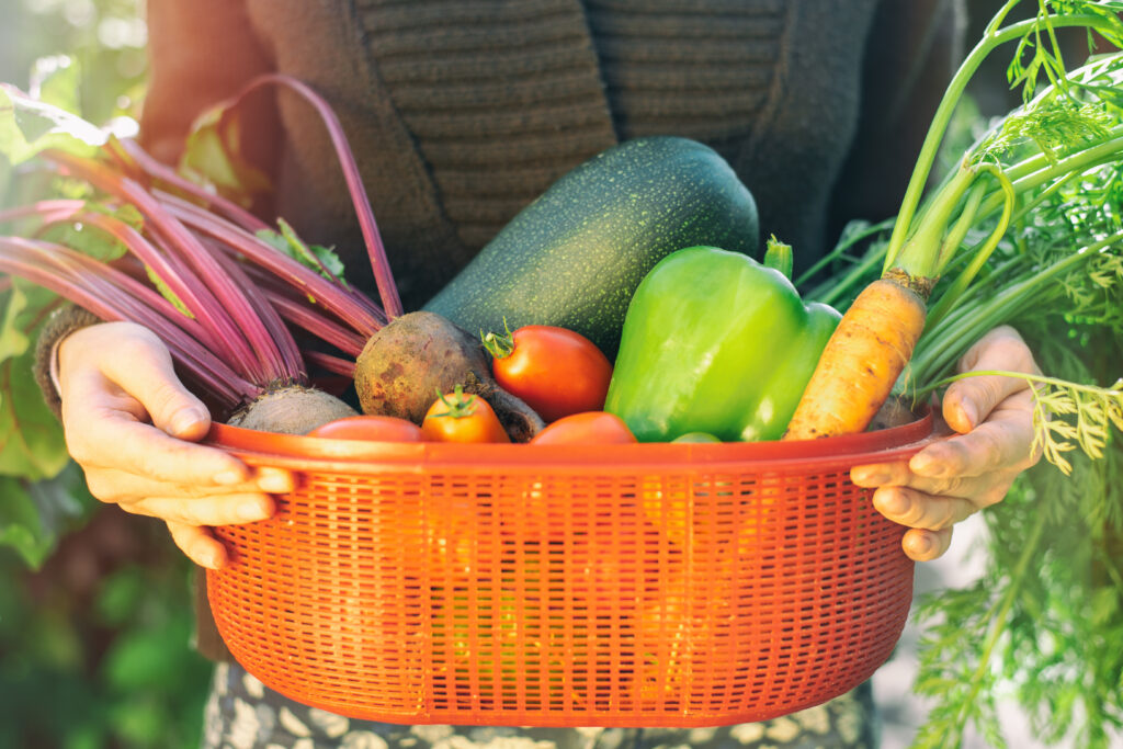 Foto: Shutterstock.com