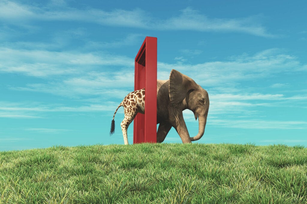 Foto: Shutterstock.com
