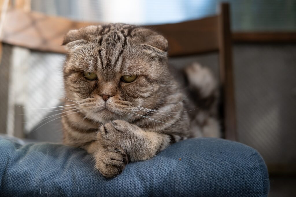 Foto: Shutterstock.com