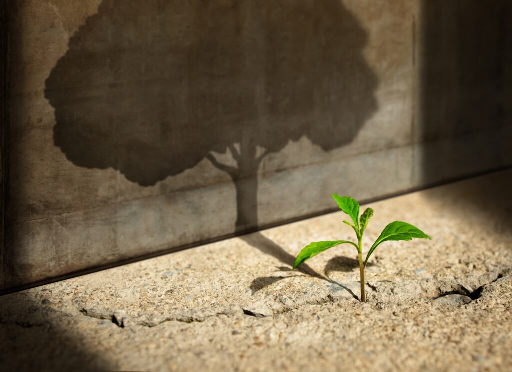 Foto: Shutterstock.com