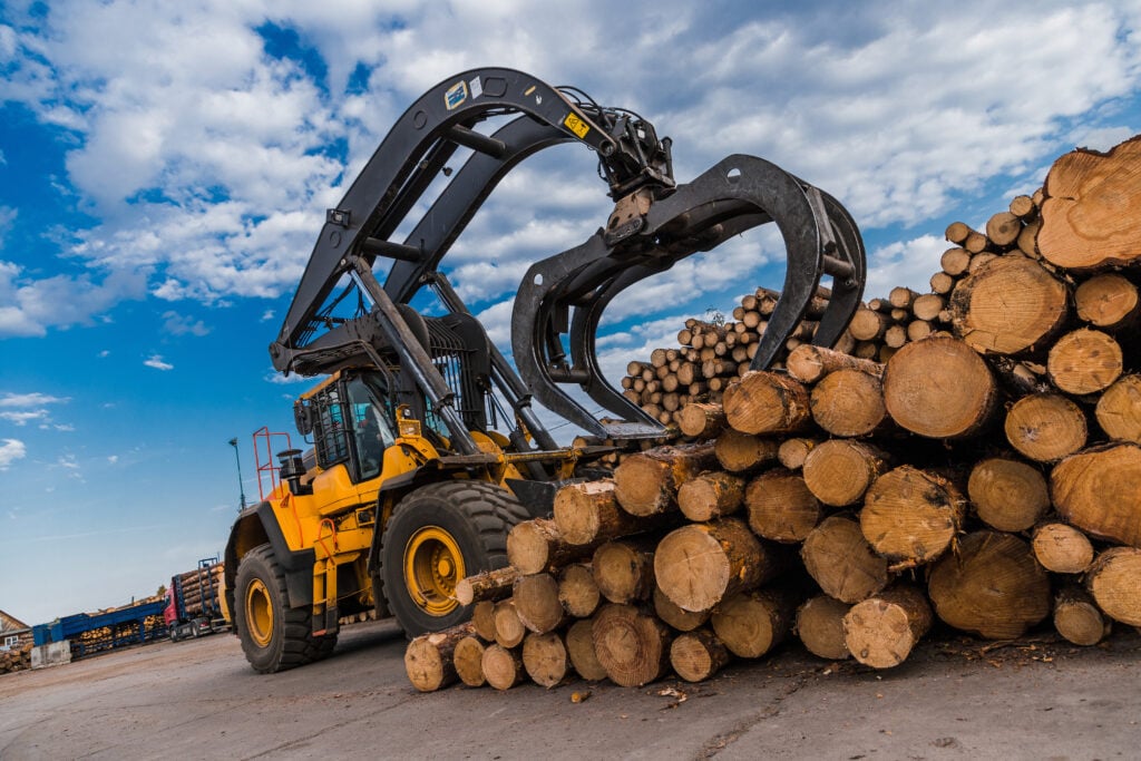 Foto: Shutterstock.com
