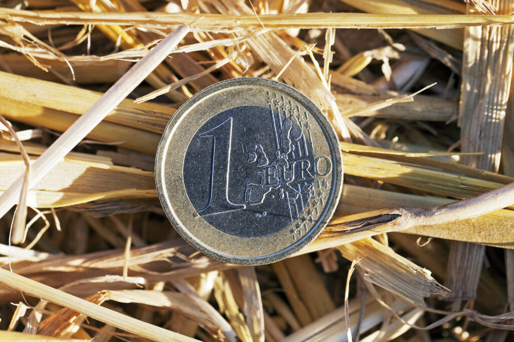 Foto: Shutterstock.com